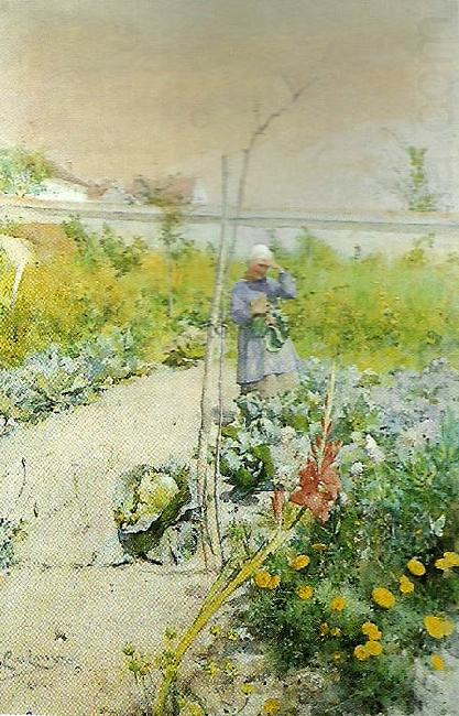 i kakstradgarden, Carl Larsson